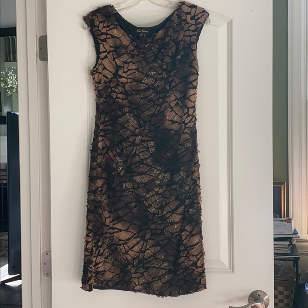 cartise dress